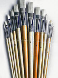 Set of Artist Paintbrushes Fan Out