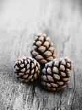 Frosted Pine Cones on Rustic Wooden Table