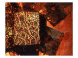 Abstract Image in Red and Black