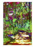 Secret Trail Through Cypress Forest