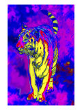 Tiger Endangered Species