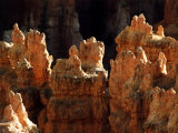 Rock Formations  Bryce Canyon National Park  Utah  USA