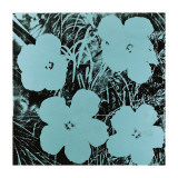 Flowers  c1967 (Blue)