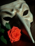 Still Life Photograph  a Traditional Venetian Mask with a Rose