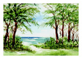 Australian Pine and Seagrape Line Path to Beach