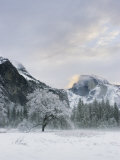 Half Dome  Yosemite  California