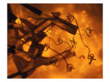 Abstract Image in Brown and Orange