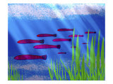 Purple Fish in Calm Blue Water with Seagrass