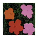 Flowers  c1965 (Orange  Red  Pink)