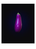 Eggplant on Dark Background