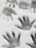 Children's Handprints in a Spring Snow