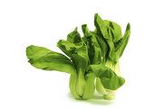 Shanghai Bok Choy on White Background