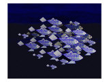 Blue School of Fish