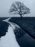 Landscape Photograph  a Winter Scenery in Spanbroek  the Netherlands