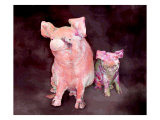 Pig and Piglet Statues