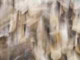 Double Exposure of a Wood Pile