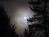 Moon with Branches at Night  Essex  Vermont