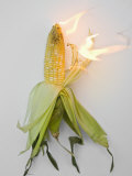 Corn on Fire