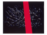 Abstract Image in Black and Red