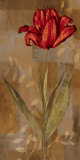 Red Impression I