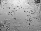 Ice from Frozen Lake