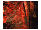 Abstract Image in Red and Black