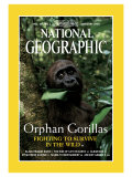 Cover of the February  2000 Issue of National Geographic Magazine