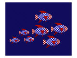 Red  White  and Blue School of Patriot Fish