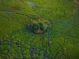 Aerial View of Animal Trails Leading to a Small Island in the Delta