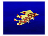 Couple of Bright Yellow Flyingfish