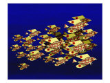 School of Flying Fish
