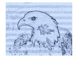 Bald Eagle Illustration