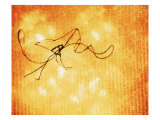 Abstract Image in Yellow and Red