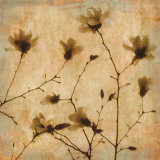 Magnolias II