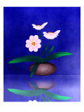 Floral Arrangement of Orchid in Vase Partly Reflected