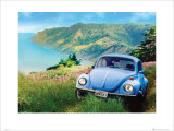 VW: California Bug