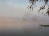 Misty Lake Scene with Trees