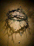 Crown of Thorns with Large Shadow and Pieces of Rock