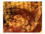 Abstract Image in Red and Beige