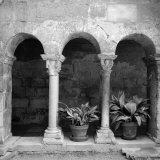 Cloister of the Asylum Where Van Gogh Lived When He Was Ill