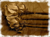 Old Roses