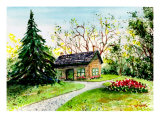 Small House Beside Huge Evergreen Tree