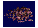 Red School of Fish