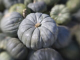 Squash