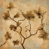 Magnolias I