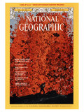 Cover of the March  1975 Issue of National Geographic Magazine