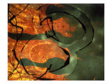 Abstract Image in Yellow  Black  and Red