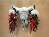 Snowy Cow Skull on Wall with Chili Ristras Hanging on Horns  Santa Fe  New Mexico  USA