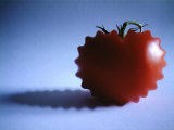 Mutated Red Tomato on Blue Background