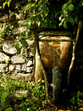 Still Life Composition in Nature with Wheelbarrow